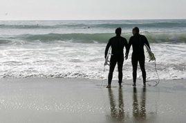 欲盖弄潮在线观看神马,揭秘网络热剧背后的风云变幻